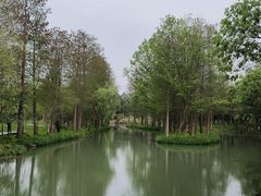 -西溪国家湿地公园