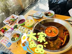 鱼火锅-味当家鱼头火锅.•甲鱼料理(金沙店)