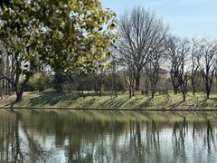 -上海共青森林公园