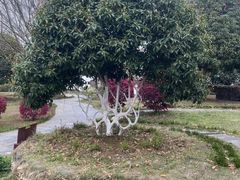 -武汉紫薇都市田园