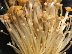 -手选潮汕鲜活牛肉火锅(二七广场店)