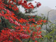 -陕西省红河谷森林公园