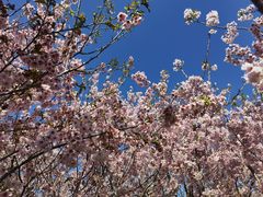 -福建鲤鱼洲酒店