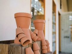 -前小桔亲子创意农场·草莓采摘·露营烧烤