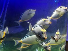 -福州罗源湾海洋世界旅游区