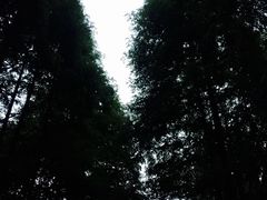 -暨阳湖生态园