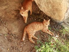 -终南山南五台景区