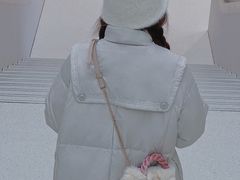 -Apple零售店(苏州店)