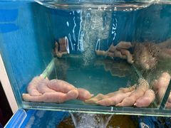 -小郭私房菜·海肠捞饭店(学士街店)