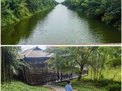 -黄海国家森林公园