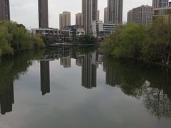 -洋湖国家湿地公园
