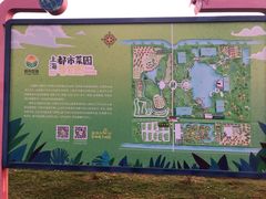-上海都市菜园