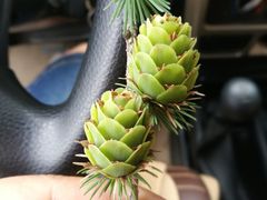 -白草畔自然风景区