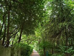 -T80科技文化国际社区-停车场