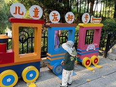 -合肥滨湖国家森林公园