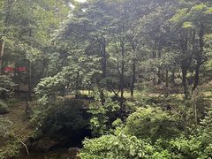 -黄公望隐居地