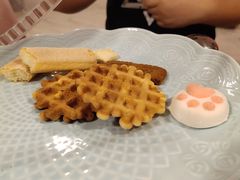 -三花喵·撸猫购宠·宠物生活馆(虹桥南丰城店)