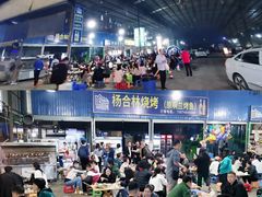-杨合林啊兰烤鱼