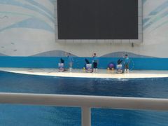 -北戴河圣蓝海洋公园