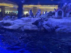 -苏州海洋馆