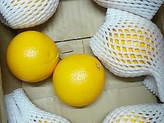 -京东商城
