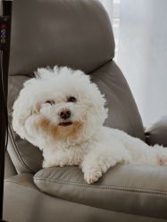 -Pink You美甲洗眉纹绣定制中心