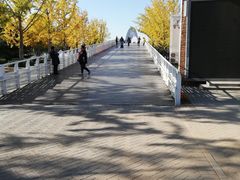 -大兴滨河森林公园