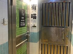 -有喵·猫咖·狗咖·30几只猫10只小狗(岗厦店)