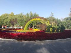 -大兴滨河森林公园