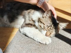 -METAL HANDS(五道营店)