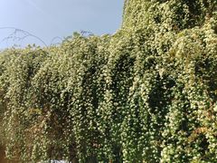 -府河摄影公园