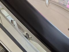 -美罗城