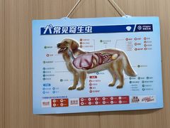 -米苏动物医院·犬猫专科·骨科外科内窥镜