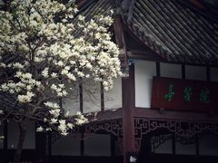 -望江楼公园