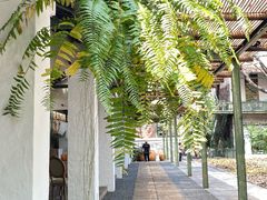 -喜洲吧·江畔老船厂·庭院餐厅(喜临院店)