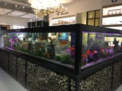 点击看大图 -可爱多国际儿童摄影会馆(龙泉店)