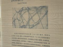 -中国宣纸文化园