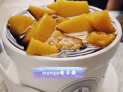 -周大娘牛乳(旧寨古村总店)