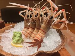 -月龍吟(朝龙汇店)