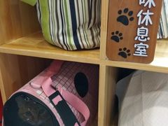 -纳吉亚猫专科动物医院博雅分院