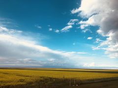 -青海湖国家重点风景名胜区