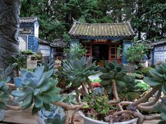 -寂照庵