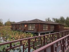 -泗洪洪泽湖湿地景区