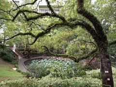 -香港大学