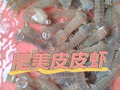 -南麂列岛