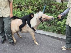 -杭州野生动物世界