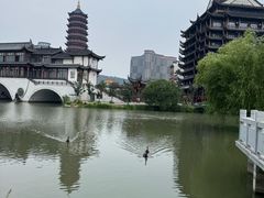 -长兴太湖图影湿地文化园