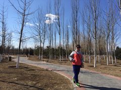 -永定河休闲森林公园