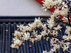 -堤角公园