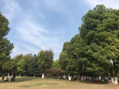-重庆彩云湖湿地公园